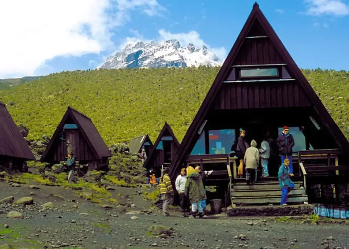 3-days-kilimanjaro-climbing (1)