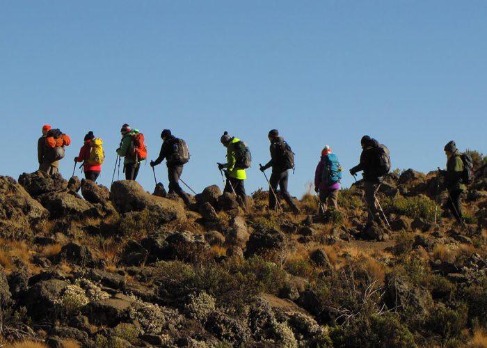 5 Days Marangu Route5 (1)