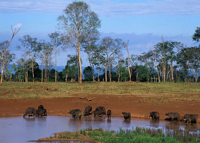 7-days-samburu-Aberdeare-lake-Nakuru-and-Masai-Mara-safari (1)