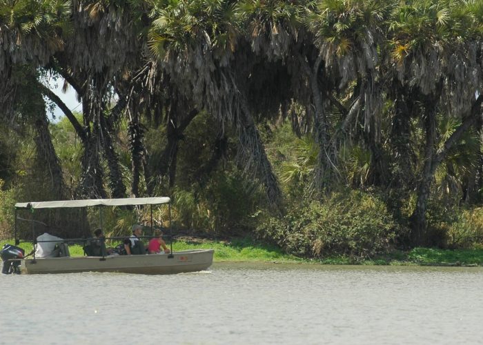 Game Drive + Rufiji River Boat Safari (1)