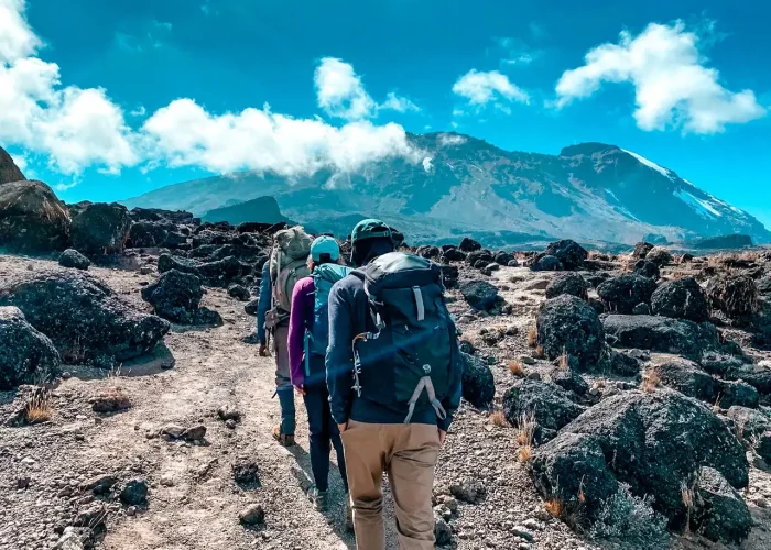 Hiking-Kilimanjaro- (1)