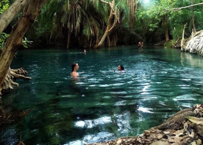 Kikuletwa-Chemka-Hot-Springs (1)