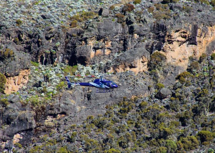 Kilimanjaro-Climbing-and-Hiking-Tours-0 (1)