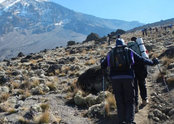 Kilimanjaro-lemosho-route (1)