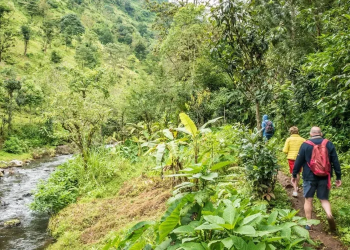 Materuni Coffee and waterfall Day Trip00 (1)