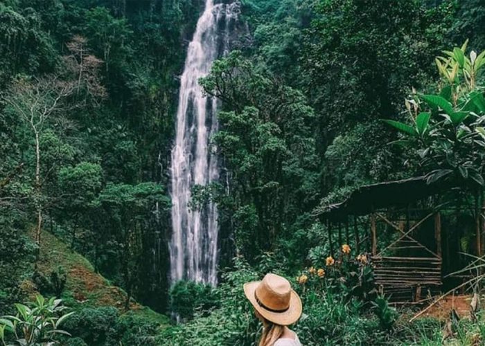 Materuni Coffee and waterfall Day Trip3 (1)