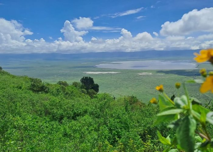Ngorongoro_Krater_ (1)