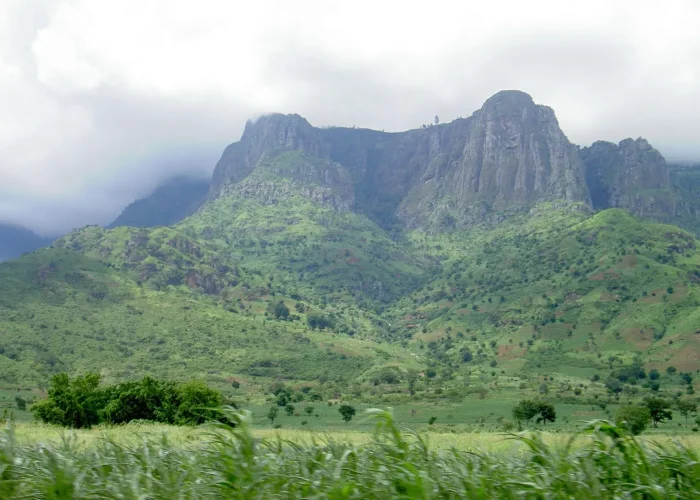 Trek-Discover-Usambara-Magic (1)