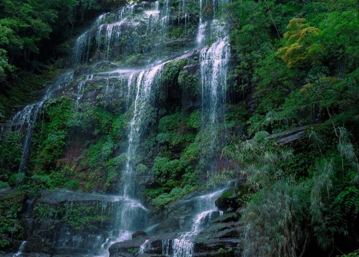 Udzungwa-Mountains-National-Park-Tanzania (1)