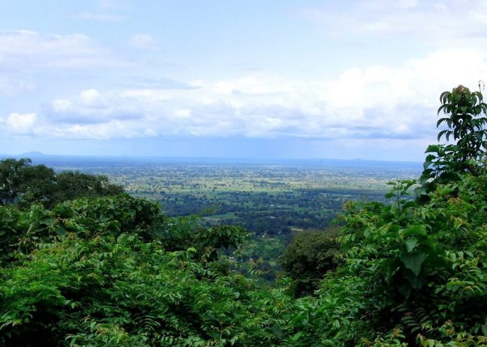 Udzungwa_Mountains_National_Park (1) (2)
