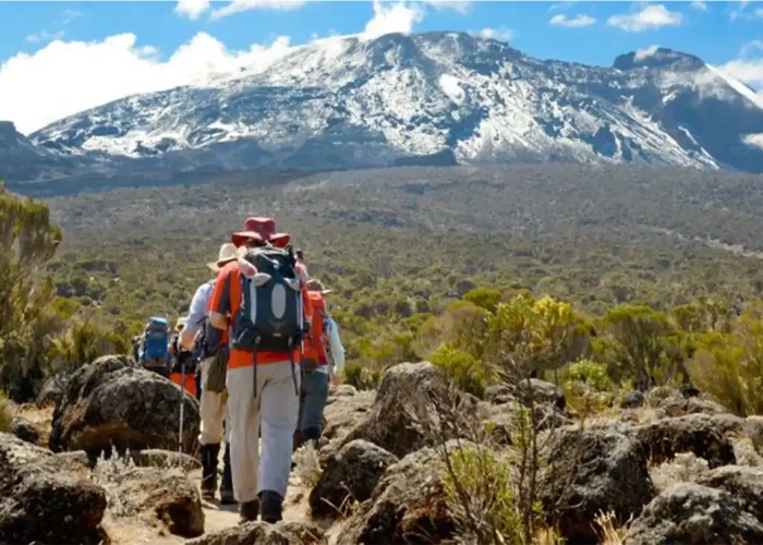 kilimanjaro-budget-lemosho-route (1)