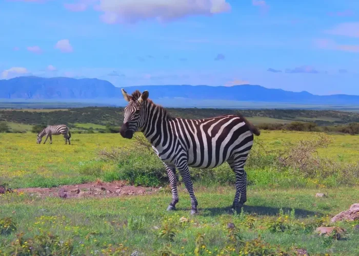 ngorongorocrater (1)